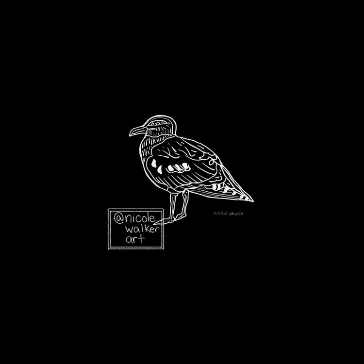 Seagull Line Art Digital Print