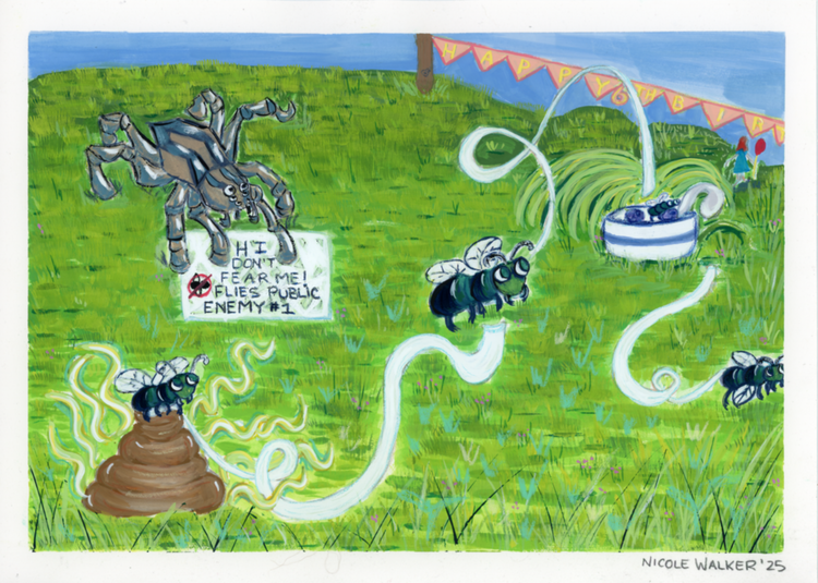 Along Came A Spider 1