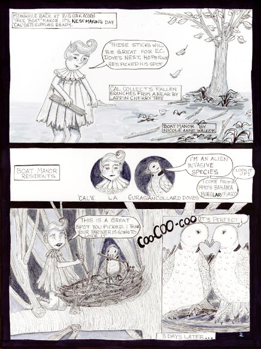 Page 2 - Nest Making