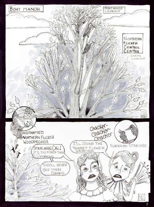 Page 3 - Lookout, Too Much Fog!